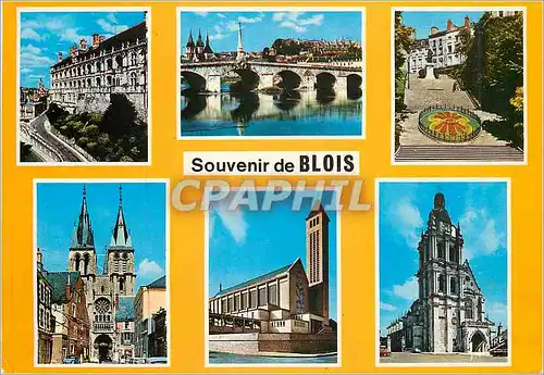 Cartes postales moderne Blois Loir et Cher Facade Francois 1er du Chateau Pont sur la Loire Escalier Denis Papin