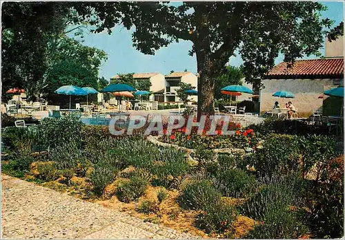 Cartes postales moderne La Colle sur Loup Alpes Maritimes La terrasse fleurie VVF