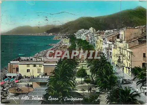 Cartes postales moderne Loano Riviere des Palmiers Promenade