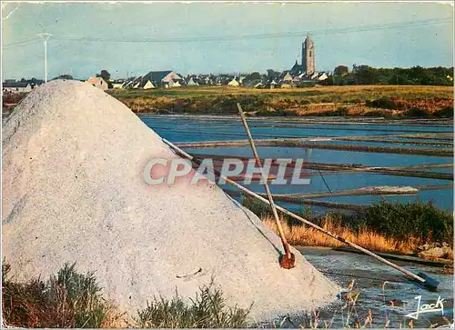 Cartes postales moderne Batz sur Mer Les marais salants et l'eglise