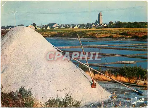 Moderne Karte Batz sur Mer Les marais salants et l'eglise