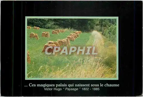 Cartes postales moderne Ces magiques palais qui naissent sous le chaume Victor Hugo Paysage