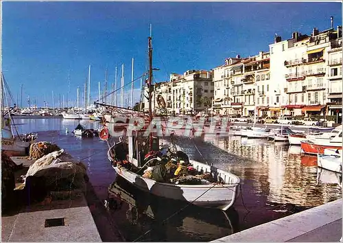 Cartes postales moderne Cannes Alpes Maritimes Le Quai Saint Pierre