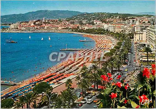 Cartes postales moderne La Cote d'Azur Cannes AM La Croisette et le Mont Chevalier