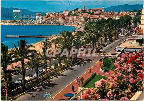 Moderne Karte Cote d'Azur French Riviera Cannes Alpes Maritimes La Promenade de la Croisette