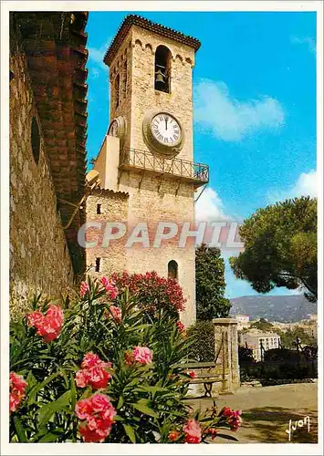 Cartes postales moderne La Cote d'Azur miracle de la nature Cannes Alpes Maritimes Le Suquet