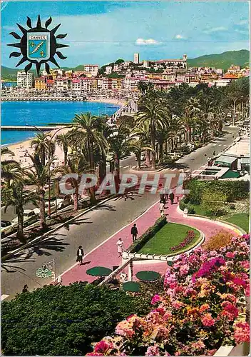 Moderne Karte Cannes Cote d'Azur French Riviera La Croisette au fond le Suquet