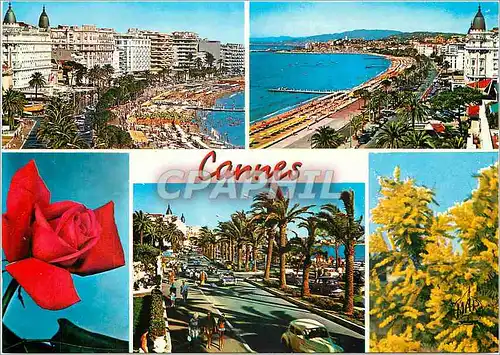 Cartes postales moderne La Cote d'Azur Cannes Les Palaces de la Croisette