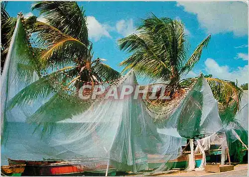 Cartes postales moderne Martinique Sechage des filets de peche