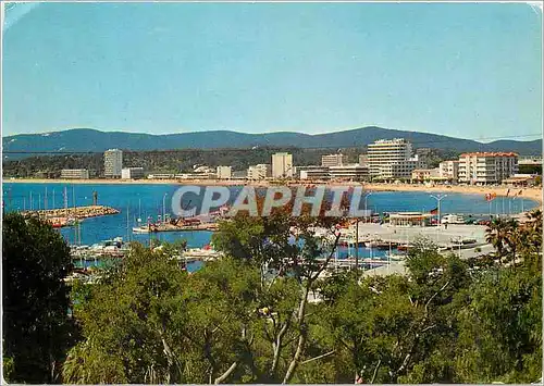 Cartes postales moderne La Cote d'Azur Varoise Le Lavandou Vue generale
