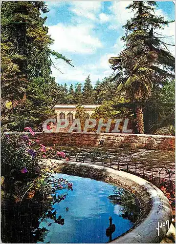 Cartes postales moderne Montpellier Herault Le Jardin des Plantes Cree par edit royal d'Henri IV