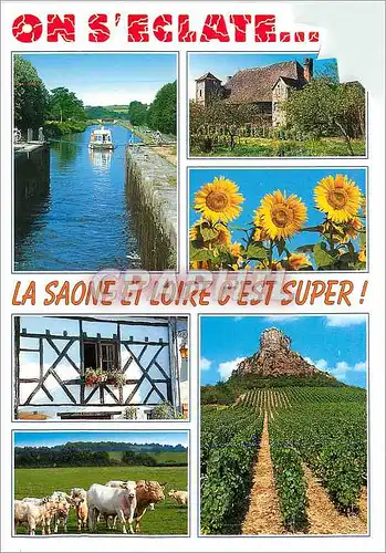 Cartes postales moderne On S'Eclate La Saone et Loire c'est Super