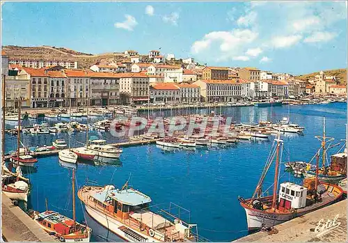 Cartes postales moderne La Cote Vermeille Port Vendres Pyrenees Orientales Le port de plaisance