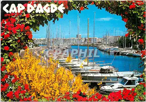 Cartes postales moderne Cap d'Agde