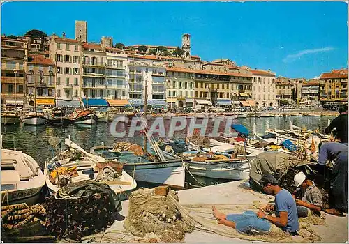 Cartes postales moderne Cannes Un coin du Port le Quai St Pierre et le Suquet