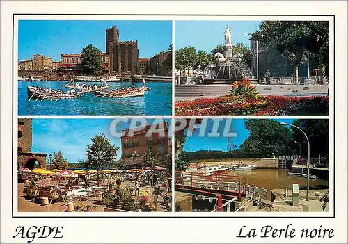 Cartes postales moderne Agde Herault France Perle noire de la Mediterranee