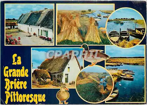 Cartes postales moderne La Grande Briere Pittoresque