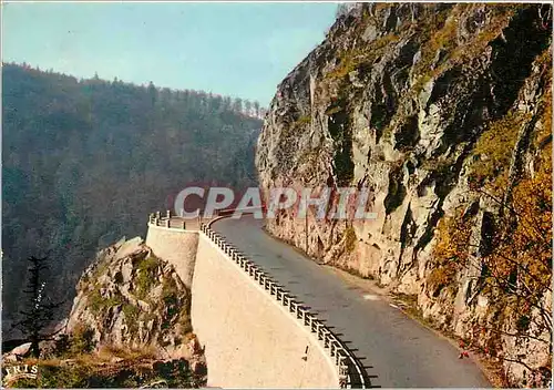 Cartes postales moderne Les Hautes Vosges Route de Munster au col de la Schlucht