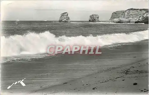 Cartes postales moderne Hendaye BP Les deux Jumeaux