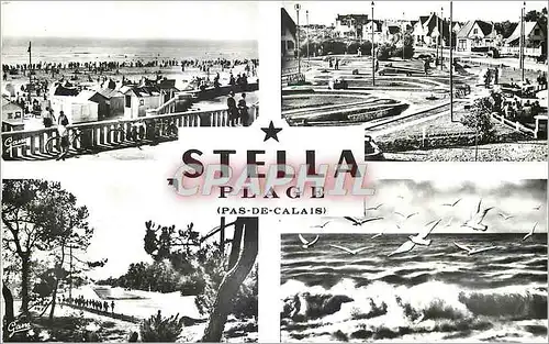 Cartes postales moderne Au Coeur de la Cote d'Opale Stella Plage P de C
