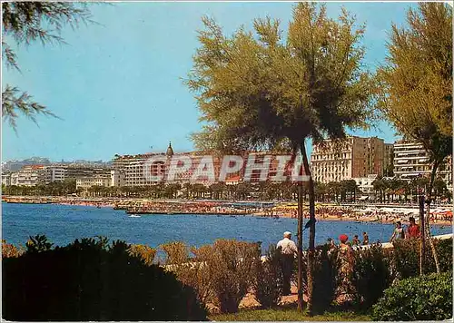 Cartes postales moderne Cannes Une partie de la Croisette Vue prise depuis les jardins du Palm Beach