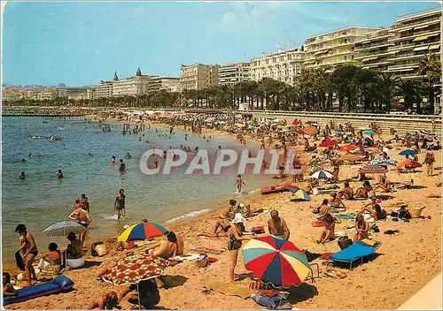 Cartes postales moderne Cannes La Croisette et ses Plages