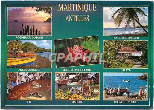 Cartes postales moderne Martinique Antilles Rocher du Diamant Plage des Salines