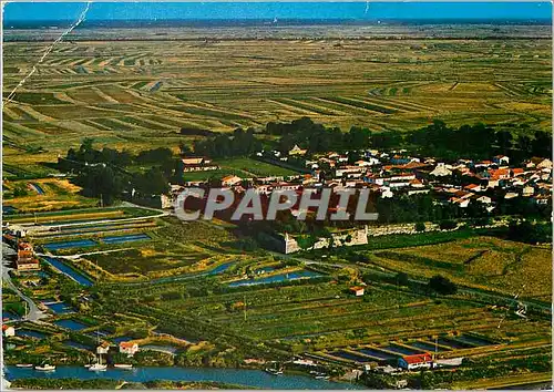 Cartes postales moderne Brouage Ch Mme Ville fortifee Vue generale Le Chenal vers la mer