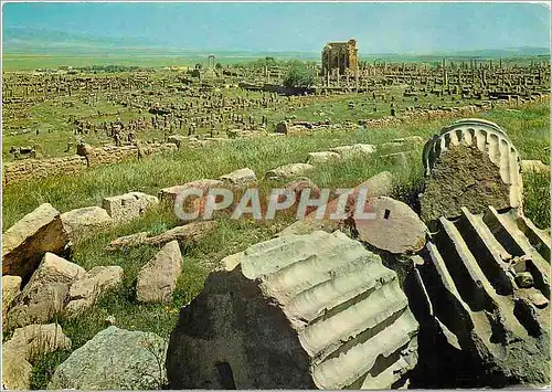 Cartes postales moderne Algeria Timgad Les Ruines Romaines