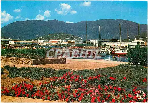 Moderne Karte Cavalaire sur Mer La Perle du Var Le Port