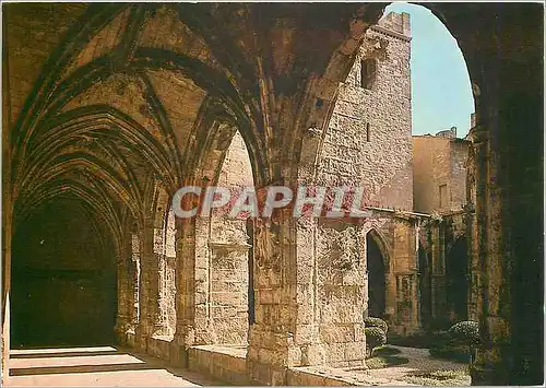 Moderne Karte Narbonne Aude Le cloitre de la Cathedrale