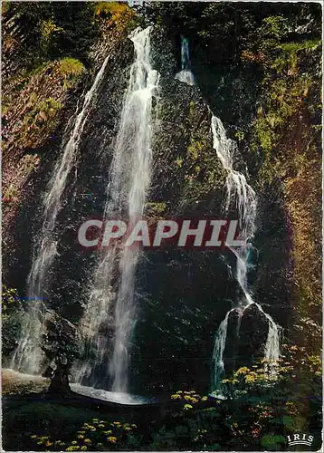 Cartes postales moderne L'Auvergne Cascade du Queureuilh pres du Mont Dore