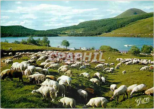 Moderne Karte L'Auvergne Lac de Guery Puy de Dome Aux environs du Mont Dore et de la Bourboule