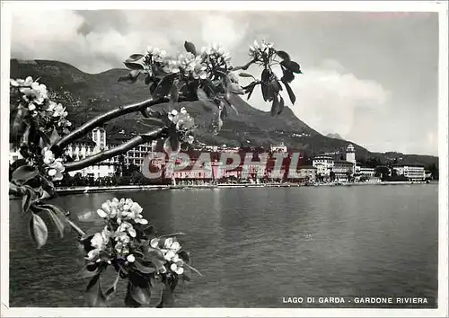 Cartes postales moderne Lago di Garda Gardone Riviera