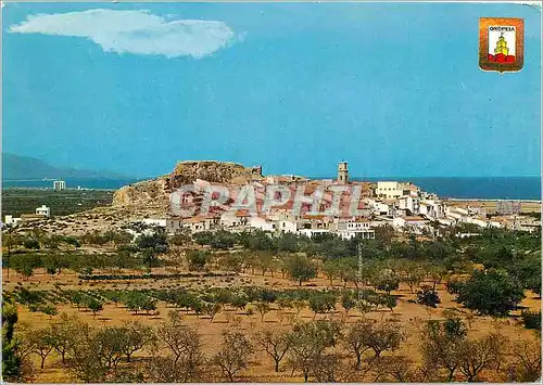 Cartes postales moderne Oropesa del Mar Castellon Vue generale