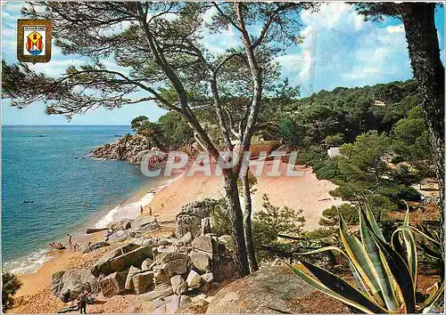 Cartes postales moderne Playa de Aro Costa Brava Plage