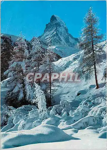 Cartes postales moderne Zermatt Matterhorn Mt Cervin