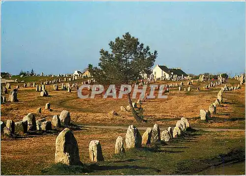 Cartes postales moderne Carnac Morbihan Les alignements du Menec