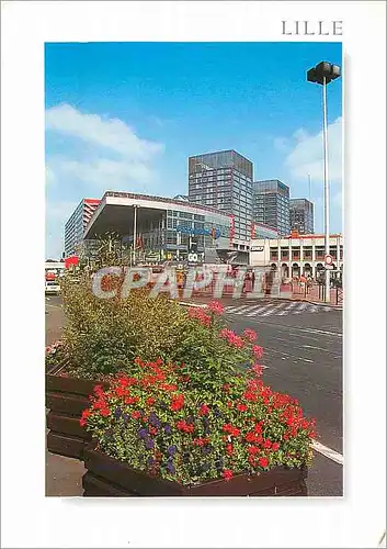 Cartes postales moderne Lille Nord