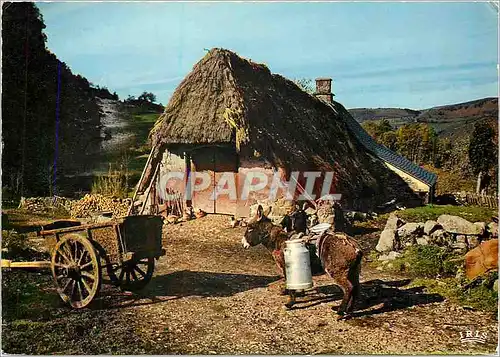 Ansichtskarte AK En Auvergne Vieux buron au toit de chaume Ane Mule