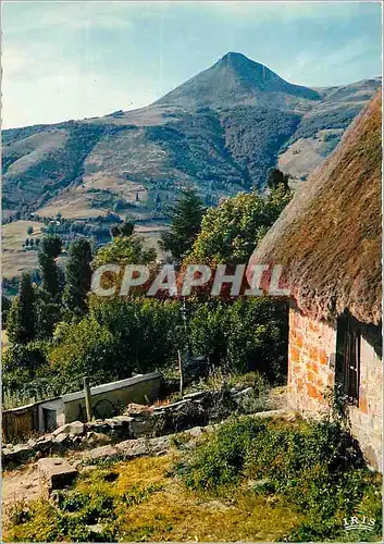 Cartes postales Auvergne Pittoresque les Monts du Cantal Le Puy Griou