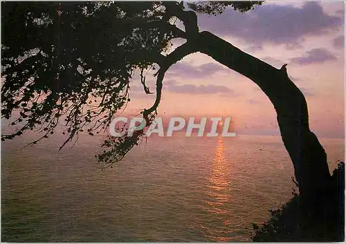 Cartes postales Coucher de soleil