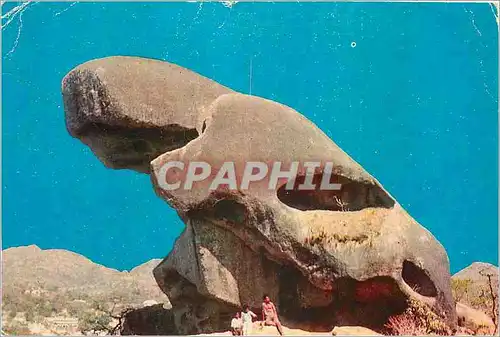 Cartes postales moderne India Mount Abu Toad Rock