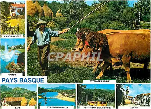 Cartes postales moderne Le Pays Basque Pyrenees Atlantiques Maison Basque aux environs de Sare
