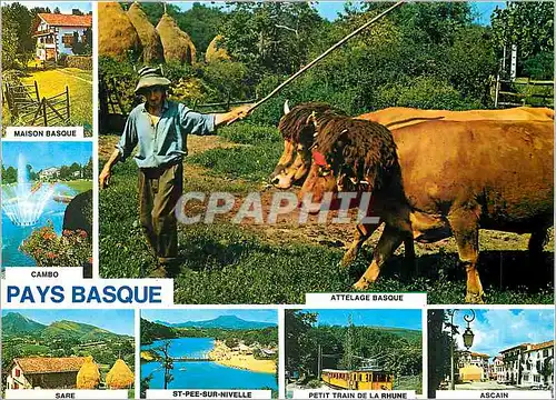 Moderne Karte Le Pays Basque Pyrenees Atlantiques Maison Basque aux environs de Sare