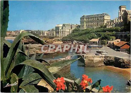 Cartes postales moderne Biarritz BP Le Port des Pecheurs