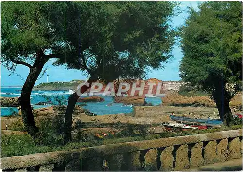 Cartes postales moderne Biarritz BP Les Tamoris Le Port des pecheurs Au fond le phare