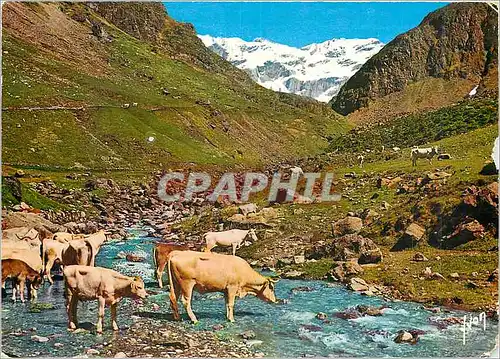 Moderne Karte Couleurs et Lumiere de France Vallee Pyreneenne