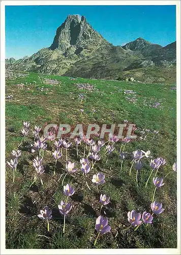 Cartes postales moderne Pyrenees Pic du Midi d'Ossau