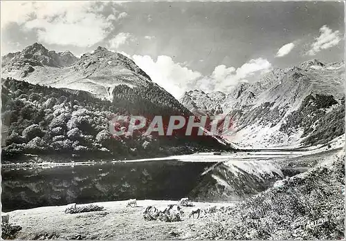 Cartes postales moderne Hautes Pyrenees Le Lac d'Estaing